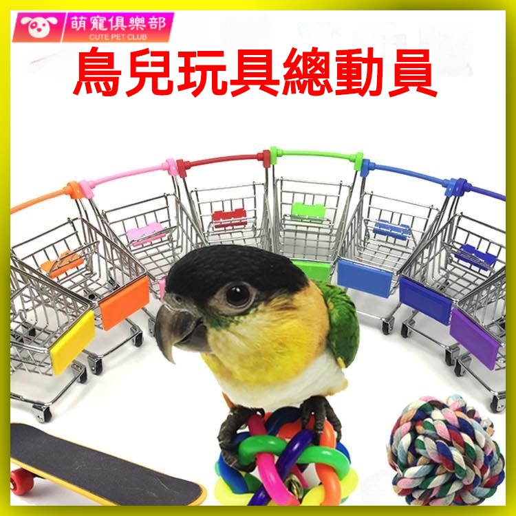 🐶🍂鸚鵡玩具 鳥玩具 小鳥玩具 啄木鳥玩具 鸚鵡用品 鸚鵡玩具用品鸚鵡投籃購物車滑闆車鈴鐺佈球套圈存錢罐訓練小太陽