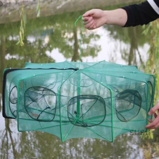 嘉儀出貨 可折疊魚籠 漁網 捕蝦網 補蟹籠 蝦蟹籠 魚網蝦籠網魚網蝦籠捕魚籠神器自動折疊抓黃鱔籠捕蝦網工具漁具捉龍蝦網漁