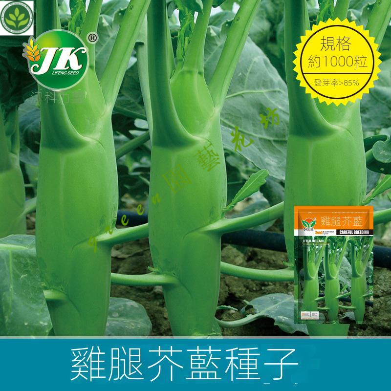 🌱鷄腿芥藍種子廣東粗條甜芥蘭四季菜種子甜脆種籽青菜菜籽 種子 種籽【green園藝花坊】