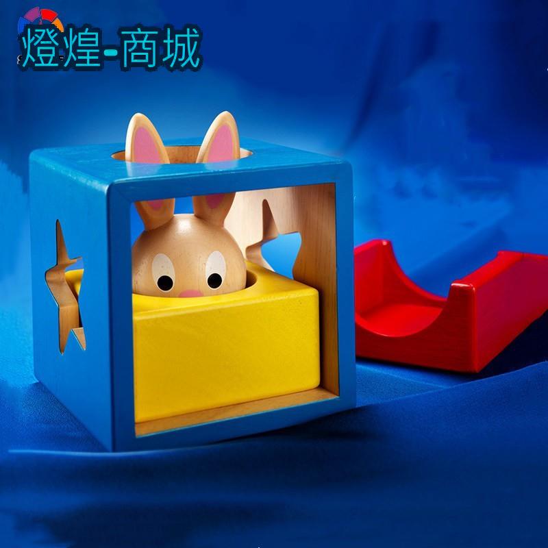 💟桌遊Smart Games小兔捉迷藏兔寶寶魔術箱空間邏輯闖關玩具