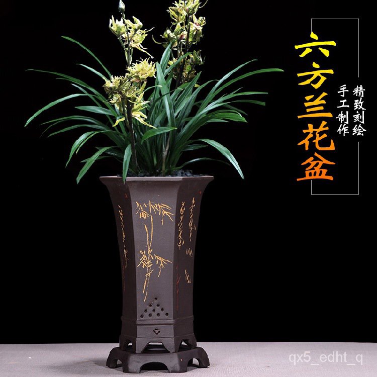 陶瓷花盆 水泥花盆 盆栽容器 園藝花盆 創意花盆 大型花盆 精品紫砂蘭花盆君子蘭帶託盤蘭草盆景陶瓷盆栽室內客廳蘭花專用盆