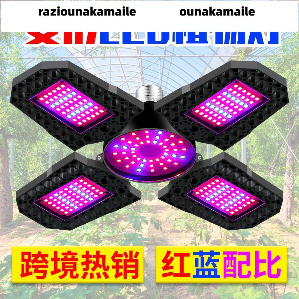 台灣發貨免運✨LED植物燈折疊四葉紅藍光譜種植燈100W育苗生長燈多肉上色可變形E27