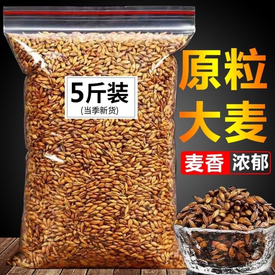 小熊愛呷精選大麥茶原味正宗濃香型麥芽苦蕎茶正宗飯店批髮散裝