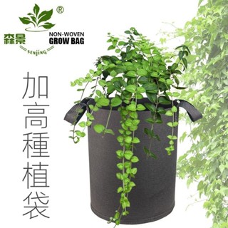 種植袋 種花 加高無紡佈袋 美植袋 植樹袋 毛氈袋 育苗 營養控根花盆 控根植樹袋
