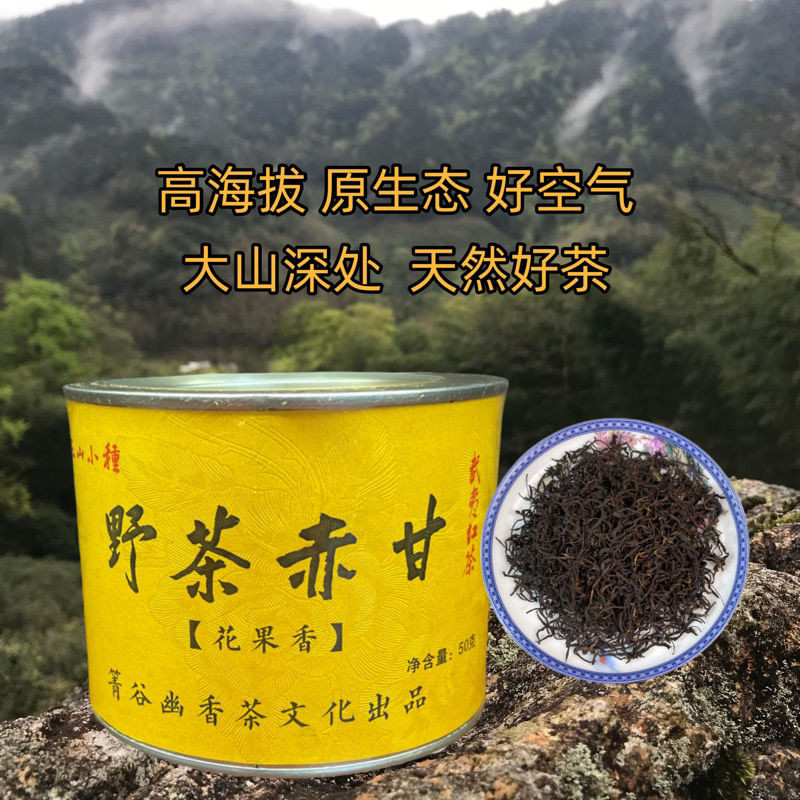 武夷山桐木關正山小種赤甘紅茶專用無添加春季清香野茶罐裝50g