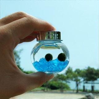 marimo海藻球 元氣微景觀 迷你水培植物 迷你玻璃瓶 許愿瓶 交換禮物 DIY笑鋪