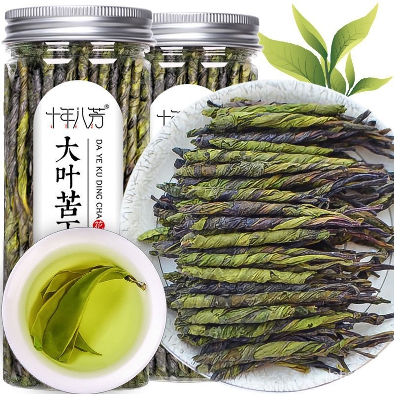 新貨苦丁茶2024新鮮大葉苦丁茶正宗正品毛冬青海南特産花草茶07