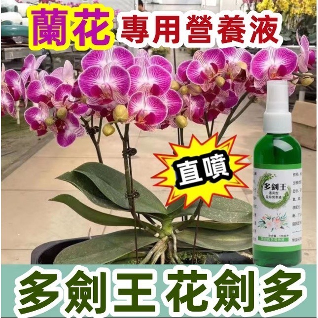 nick►蘭花專用營養液 蝴蝶蘭花專用營養液 蘭花肥 蝴蝶蘭君子蘭蟹爪蘭營養肥