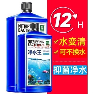 大熊\\超低價~魚缸凈水劑 一滴清 水質凈化劑 特清潔清水清澈 澄清劑 養水專用 除氯 凈水王 水質清澈劑