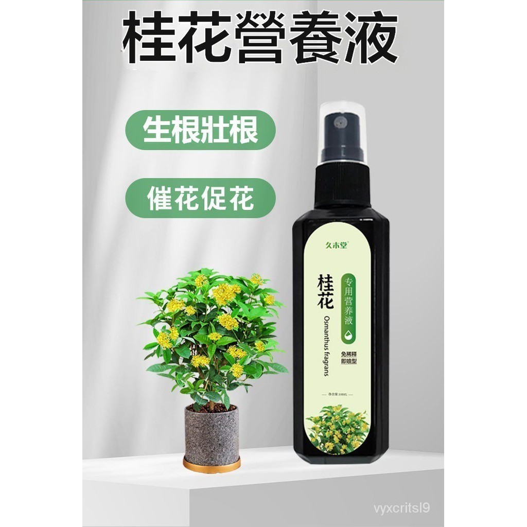 【急救】買二送一 桂花樹 葉枯病 專用營養液 植物通用型 葉子髮黃 不開花 促開花