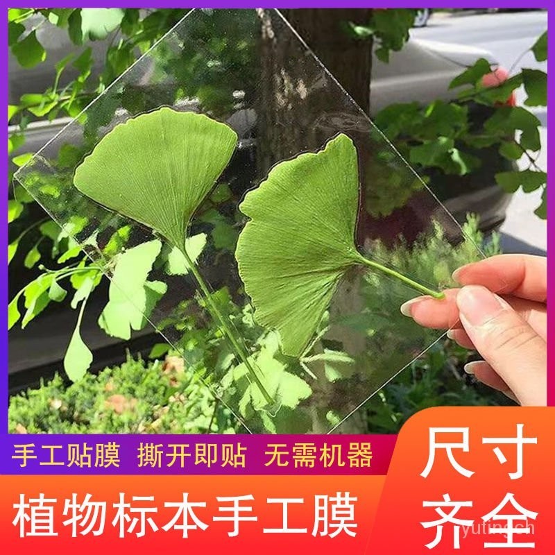 冷裱膜樹葉標本書簽膜手工自粘小卡照片透明光麵膜DIY塑封膜 IMDN