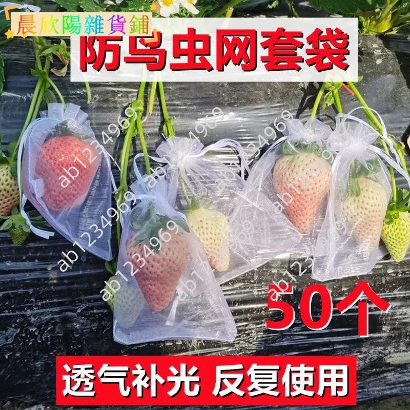 免運🌸🌸草莓防蟲網紗套袋水果保護袋防鳥網袋桃子無花果葡萄透氣紗袋網袋