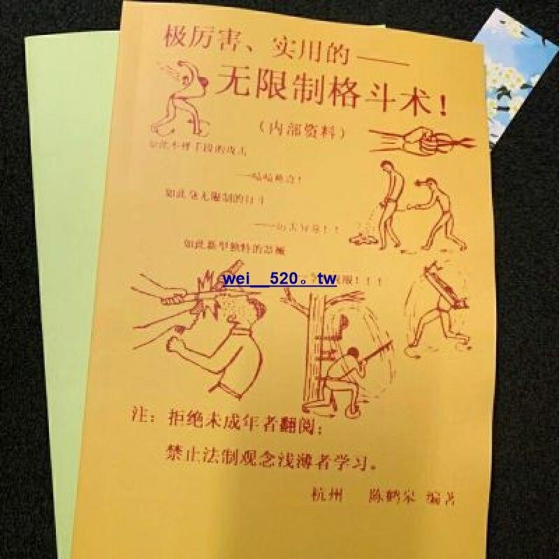 折扣中#陳鶴皋 極厲害實用的無限制格斗術 一切為了實戰而練2本wei__520