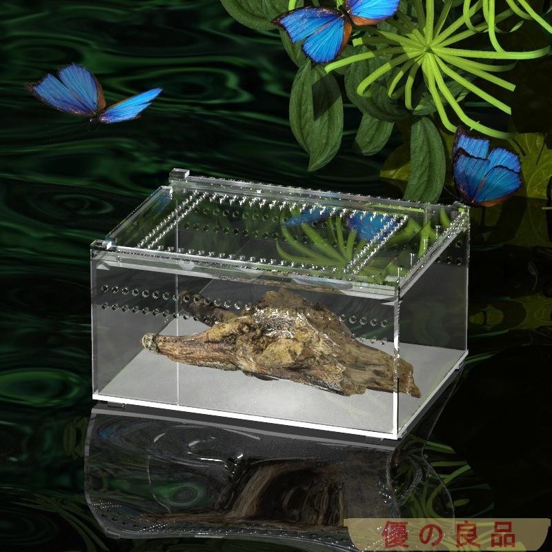 台灣出貨 亞克力小型抽拉爬蟲飼養盒蜘蛛螃蟹角蛙守宮透明別墅寵物蛇養殖箱
