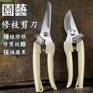 臺灣勁銷 園藝園林剪枝剪盆栽修枝神器花藝剪鮮花剪子傢用綠化嫁接花店剪刀果樹剪 伸縮剪枝器 園藝工具 加長 鋒利 樹枝剪