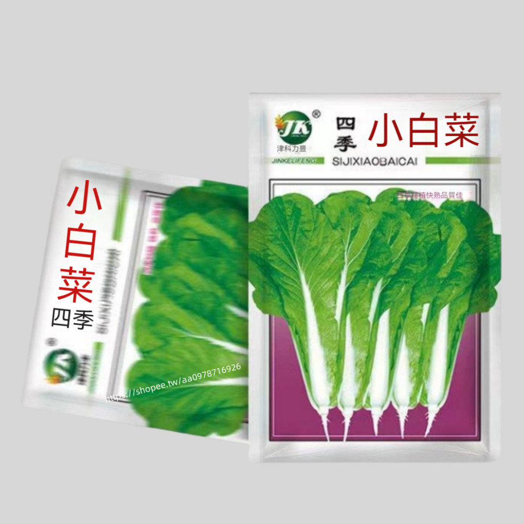 四季小白菜A73 小白菜種子 四季小白菜種子 一袋10g約2000粒 蔬菜種子 原廠包裝 對版出貨 發芽率高95%