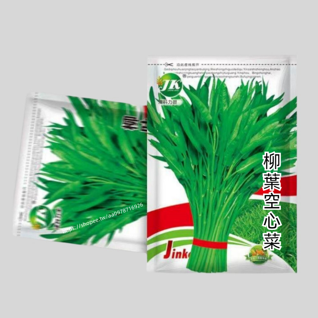 柳葉空心菜A30 空心菜種子 柳葉空心菜種子 一袋10g約200粒 蔬菜種子 原廠包裝 對版出貨 發芽率高95%