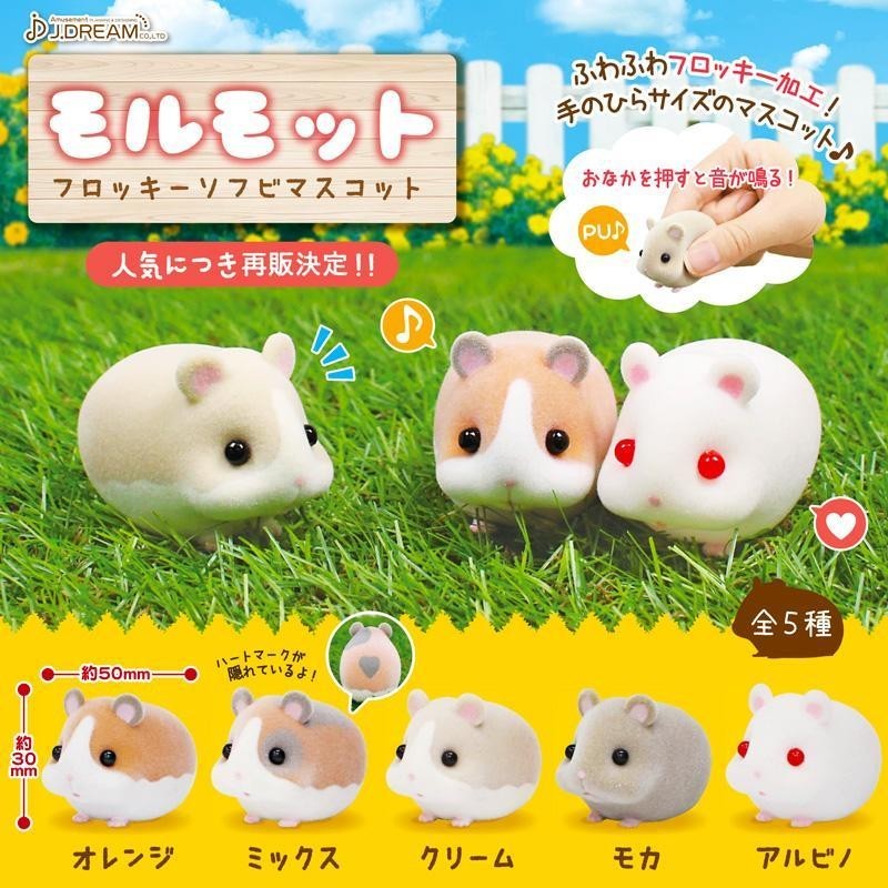 日本現貨J.DREAM天竺鼠植絨扭蛋荷蘭豚鼠倉鼠公仔捏捏擺件玩具