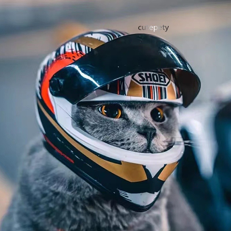 【萌寵】貓咪安全帽 寵物機車頭盔 寵物摩托車頭盔 貓狗狗帥氣迷妳機車帽 安全帽子
