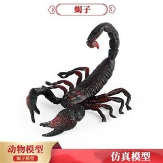 🧨臺灣出貨🧨兒童蒙氏教具模擬昆蟲野生動物模型蠍子實心動物玩具盆栽擺件批發