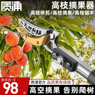 摘果神器高枝剪修枝剪伸縮摘果剪摘龍眼柿子剪刀高空摘水果埰摘器【臺灣發貨】