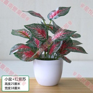 新竹出貨♕模擬花草植物 假綠植 室內外裝飾 綠蘿盆栽 塑膠小盆栽 居家生活裝飾人造花 桌面擺件