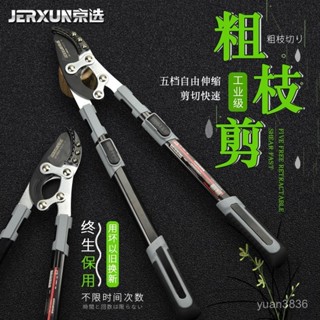 京選伸縮粗枝剪修枝剪樹枝園林剪刀果樹修剪省力高枝高空剪枝剪刀【臺灣出貨】 HYXK