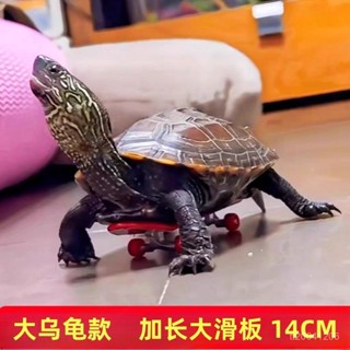 高顏值✨限時下殺✨烏龜滑闆寵物玩具鸚鵡滑闆模型玩具手指迷你減壓玩具搞笑高階diy