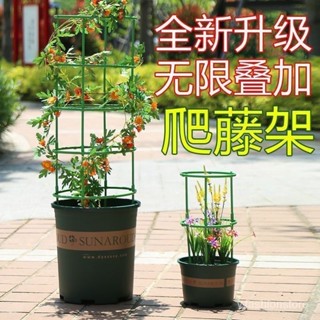 🔥臺灣出貨🔥爬藤架 盆栽支撐架 植物支架 植物支撐桿 盆栽支撐架 盆栽支架 爬藤支架 花盆支架 蘭花支架 園藝支架