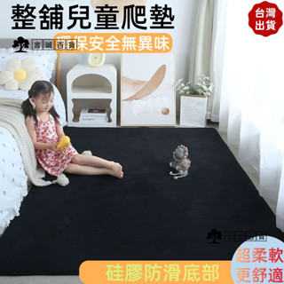 【臺灣出貨】可客製化地毯 珊瑚絨地毯 臥室地毯 黑色地毯白色地毯 短毛地毯 滿鋪短絨大地毯 臥室床邊地毯 兒童玩耍地毯