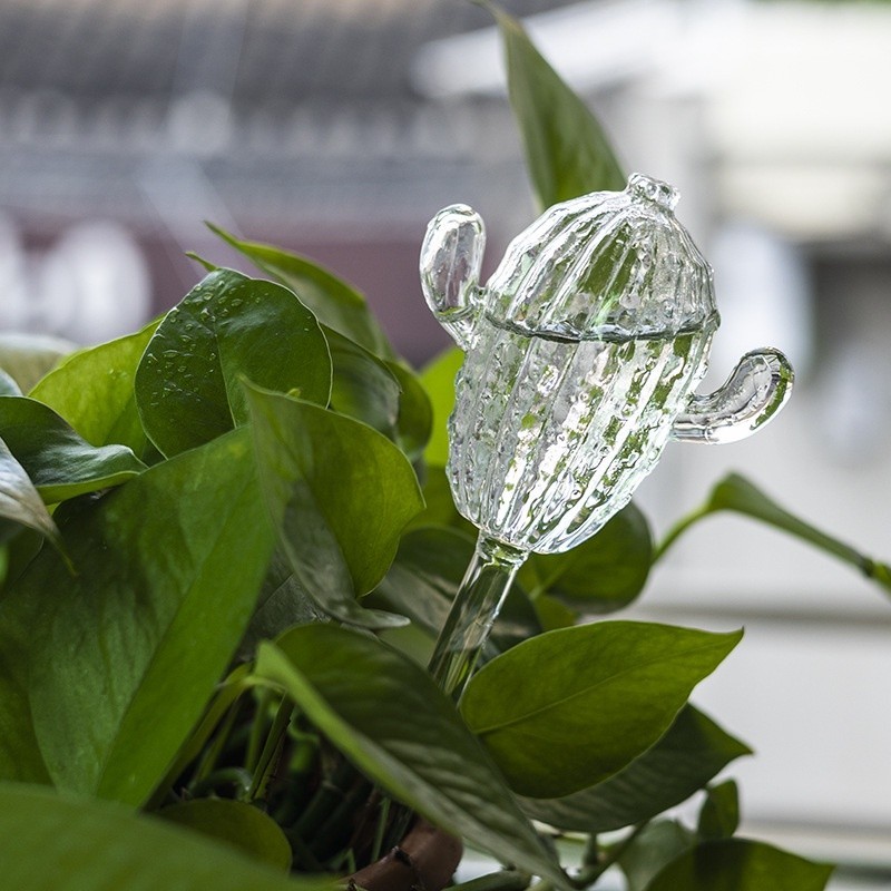✨滿200才有發貨哦✨仙人掌透明綠色家用綠植盆栽自動澆花器園藝工具玻璃卡通澆花器