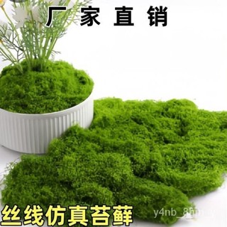 【免運】模擬苔蘚地毯花盆鋪麵展會布diy微景觀佈置擺件草坪盆景鋪麵造景 6LAM