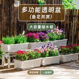 破損補發 可開發票 室內陽臺種菜專用盆長方形自吸水懶人種花種蔬菜箱草莓特大號塑膠 TUFG