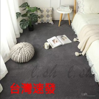 臺灣出貨 地毯 短絨毛地毯 北歐絨毛大地毯 客廳臥室房間床邊毯 超柔軟毛絨厚地毯 毛地毯地墊小地毯客製化 毛絨 地墊加厚