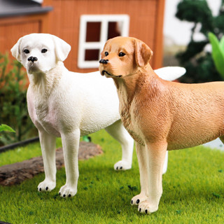 🥂模擬動物🥂模擬認知狗狗動物模型拉布拉多犬哈士奇金毛犬寵物狗兒童玩具擺件