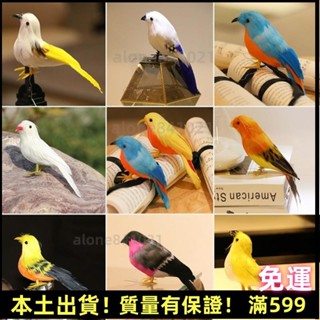 臺灣出貨✨♪模擬鳥 ♪模擬鳥 麻雀彩色羽毛小鳥 園林擺件鳥 籠創意裝飾攝影裝飾品小鳥 模型 高品質