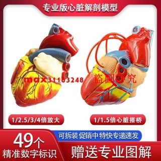 1:1標準人體心臟模型解剖可拆卸教學模型模擬自然大心臟模型醫學
