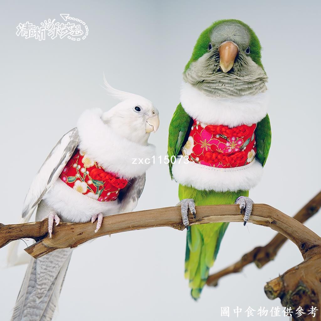 飛行衣 鸚鵡尿布 鸚鵡飛行衣 鳥尿布 和尚鸚鵡 鳥尿布衣 寵物玄鳳 小型鸚鵡鳥衣服 保暖飛行服 新年裝拜年服旗袍