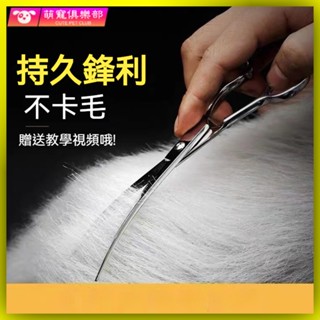 🐶🍂寵物美容套裝 寵物剪毛器 寵物剪 寵物美容剪刀 寵物剃毛器 寵物美容剪刀剪毛剪刀修毛剪工具直剪彎剪狗狗剪毛剪刀比熊專