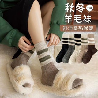 【限時優惠💥】配鯊魚褲的襪子女中筒秋冬羊毛襪加厚保暖ins潮流百搭長筒襪運動 JIDQ