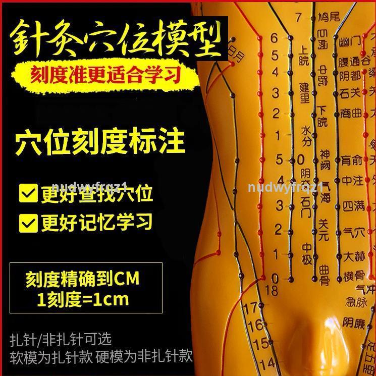 臺灣熱賣🔥🔥針灸穴位人體模型人全身中醫十二經絡小皮人經絡圖穴位模特可扎針1078