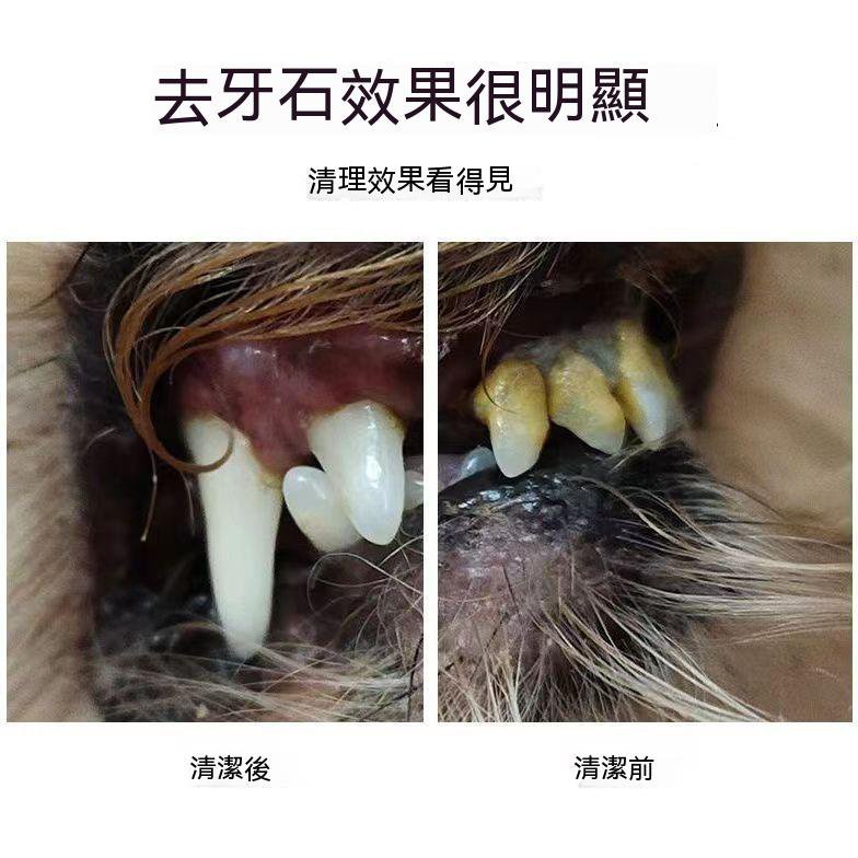 👍 寵物 牙結石 去除器 超聲波 洗牙器 狗狗 貓咪 牙齒 牙垢 清潔 神器 潔牙 工具