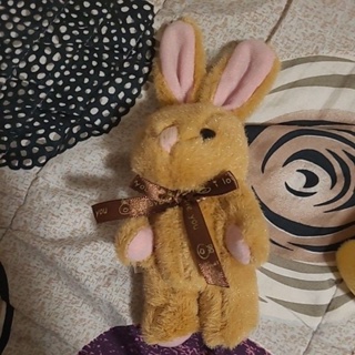 娃娃機夾到的-兔子絨毛布偶