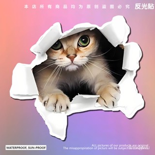【優選精品】創意個性3D立體小貓汽車貼紙 可愛搞怪貓咪遮擋車身車尾劃痕颳痕機車ins日韓風 MGZ1