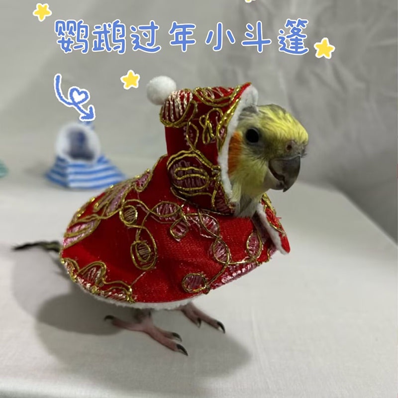 【台灣發貨】 鸚鵡新年披風斗篷鳥衣服鸚鵡披風玄鳳加絨加厚保暖外出服鸚鵡用品