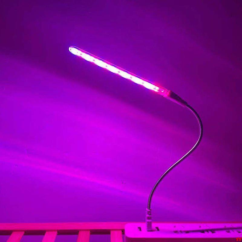 植物補光燈生長燈多肉上色助長全光譜led燈USB長條燈管家用植物燈