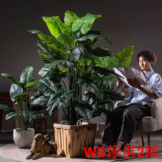 【免運】落地熱帶模擬大型盆栽假樹室內植物造景景觀仿生裝飾客廳擺件WS傢俱館2店