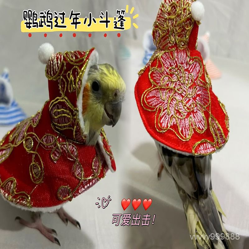 【寵物寶貝】鸚鵡新年披風鬥篷鳥衣服鸚鵡披風玄鳳加絨加厚保暖外出服鸚鵡用品 KLHN