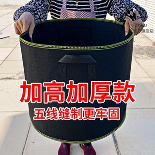 【臺灣發貨】種美植袋 加厚加高 無紡布 透氣超特大 花盆箱 樓頂陽臺 種果樹 種花加固