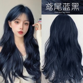 【臺灣現貨】泡泡染髮劑女流行藍黑色新款天然無刺激品牌植物純在家染髮膏